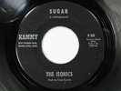 ISONICS Sugar / He Needs Her KAMMY 45 Rare Northern Soul HEAR