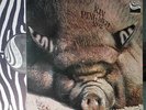 KIN PING MEH No 2 / LP ZEBRA 1972
