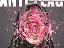 Anti-Flag-American Spring Vinyl / 12