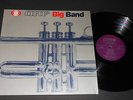LP ORF BIG BAND Musterplatte des ORF Johannes Fehring, Erich Kleinschuster,...
