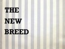 BASIL KIRCHIN & JOHN COLEMAN THE NEW BREED DE WOLFE LIBRARY 10