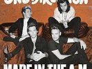 One Direction - Made In The A.M. (Vinyl LP / Album) (04.12.2015) (New)