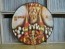 LED ZEPPELIN - II / LP Picture disc     Turkey
