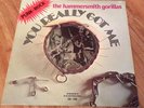 THE HAMMERSMITH GORILLAS *YOU REALLY GOT ME* 1977 UK PUNK GLAM SPANISH 45