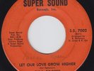 Eula COOPER Let our love grow higher 45 monster NORTHERN SOUL crossover HEAR ?