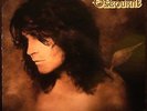 OZZY OSBOURNE NO MORE TEARS 12