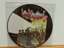Led zeppelin 2 picture disc vinyl lp Hats 421-43-P  unplayed