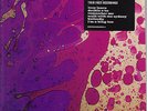 Pink Floyd - 1965 Their First Recordings Ltd 7