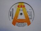 Bruce Springsteen,The River.Rare 7