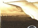 *RARE* NEIL YOUNG PRAIRIE WIND 200g 2xLP Quiex Vinyl Classic Records SEALED