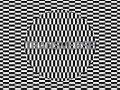 Carter Tutti Void - Transverse