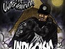 The Underachievers - Indigoism (Golden Vinyl) 2LP NEU 0152286