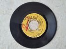 ERROL HOLT - CONGO DREAD // VERSION / ISLAND