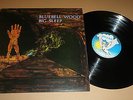 BIG SLEEP 'BLUEBELL WOOD' PEG 4 PEGASUS RECORDS RARE MINTY 1971 UK STEREO ISSUE