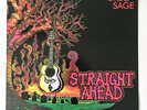 GREG SAGE - Straight Ahead LP Insert NM/EX Enigma Wipers Punk Nirvana OOP