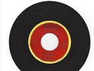 OHIO 60'S INSTRUMENTAL GARAGE ROCKER- RHYTHM REBELS- 