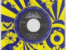 Latin Boogaloo 45 - Ralph Robles - Taking Over - Fania - mp3