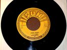 RARE ROCKABILLY 45 SONNY BURGESS-SWEET MISERY B/W MY BUCKET'S ORIG SUN 285 HEAR
