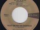 Funk Soul 45 - Willie Wright - Right On For The Darkness - Hotel - NM mp3 repro