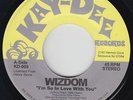 Modern Soul 45 - Wizdom - I'm So In Love With You - Kay-Dee - VG++ mp3