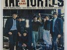 Turtles 