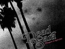 Dead Sara: Pleasure To Meet You LP Explicit Lyrics
