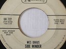 RARE INSTRUMENTAL PROMO 45/ WES DAKUS & REBELS 
