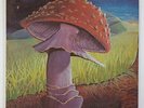 Mushroom 