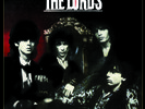 Method To Our Madnesss - Lords Of The New Church (2015, Vinyl NEW) 855971005147