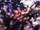 PINK FLOYD LP VINYL OBSCURED BY CLOUDS