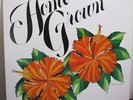 Various-Home Grown II-Rare 1977 Hawaii Folk Rock Soul LP-KKUA Radio-N.Mint-MP3