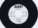 THE BEACH BOYS / BRAIN WILSON / KENNY & THE CADETS - BARBIE (Rare Re-issue 45rpm