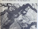 GAP MANGIONE TRIO - DIANA IN THE AUTUMN WIND - ORIGINAL LP - RARE, BREAKS, BEATS