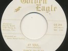 VANCE CHARLES & THE SONICS on Golden Eagle —MY SOUL— texas garage 45 | RARE HEAR