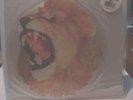 White Lion Radar Love shape picture disc