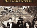 The Black Crowes - Southern Harmony and Musical Companion