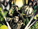 Jungle Brothers - Straight Out The Jungle (LP, Album) - Vinyl - 104297