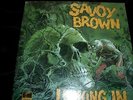SAVOY BROWN     -     LOOKING IN     PARROT 71 042     US PRESS     FOC