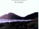 BONNIE PRINCE BILLY-LETTING GO VINYL LP NEUF