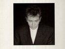 Gabriel Peter, Shaking the Tree - orig. 1990 LP