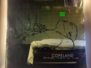 Copeland - Beneath Medicine Tree 2LP NEW SRC Audiophile