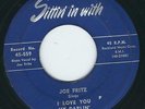 R&B Joe Fritz SITTIN' IN WITH 559 I love you my darling / Please get off  MP3