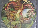 SPYRO GYRA: Morning Dance LP (promo only pic disc, Wherehouse records issue, PV