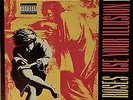 Guns N Roses Use Your Illusion 1 Vinyl