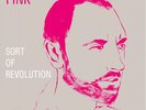 Fink - Sort of Revolution
