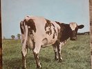 Pink Floyd, Atom Heart Mother, 1970, Harvest, SKAO 382