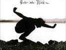 Eddie Vedder (Pearl Jam)  - Into The Wild Soundtrack (180g Vinyl )   NEW
