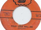 THE VANDALS YOUR LOVE WILL DIE b/w MARY LABEL VG VINYL VG++ ATLANTA GARAGE 45 D