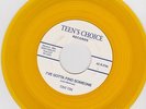 TINY TIM and his TORNADOES Ive Gotta Find Someone TEEN'S CHOICE Rockabilly REPRO