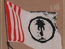 Savage Republic 7
